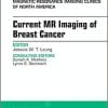 Current MR Imaging of Breast Cancer, An Issue of Magnetic Resonance Imaging Clinics of North America (The Clinics: Radiology)