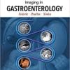 Imaging in Gastroenterology 1st Edition