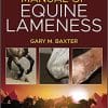 Manual of Equine Lameness 2nd Edition