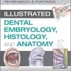 Student Workbook for Illustrated Dental Embryology, Histology and Anatomy, 5e 5th Edition