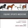 Equine Sports Medicine, An Issue of Veterinary Clinics of North America: Equine Practice (Volume 34-2) (The Clinics: Veterinary Medicine (Volume 34-2)) (PDF)