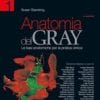 Anatomia del Gray. Le basi anatomiche per la pratica clinica, 41° edizione 2017 EPUB + Converted PDF