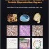 WHO Classification of Tumours of the Female Reproductive Organs (IARC WHO Classification of Tumours) (Retail PDF)