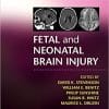 Fetal and Neonatal Brain Injury 5th Editon (PDF)