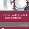Spinal Cord Injury (SCI) Repair Strategies (Woodhead Publishing Biomaterials) (EPUB)