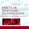 Vascular Responses to Pathogens