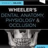 Wheeler’s Dental Anatomy, Physiology and Occlusion, 11th Edition (PDF)