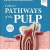 Cohen’s Pathways of the Pulp, 12th Edition (PDF)