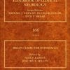 Brain-Computer Interfaces (Volume 168) (Handbook of Clinical Neurology (Volume 168)) (PDF)