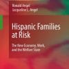Hispanic Families at Risk: The New Economy, Work, and the Welfare State (EPUB)