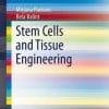 Stem Cells and Tissue Engineering (EPUB)