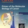 Cancer: Principles & Practice of Oncology, 2nd Edition: Primer of the Molecular Biology of Cancer (EPUB)