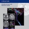 Diffusion Weighted and Diffusion Tensor Imaging: A Clinical Guide (PDF)