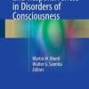 Brain Function and Responsiveness in Disorders of Consciousness (EPUB)