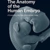 The Anatomy of the Human Embryo: A Scanning Electron-Microscopic Atlas (PDF)