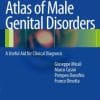 Atlas of Male Genital Disorders: A Useful Aid for Clinical Diagnosis (EPUB)