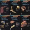 (FREE) Aclands DVD Atlas of Human Anatomy (Full 6 DVDs)