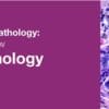 2019 Classic Lectures in Pathology: What You Need to Know: Dermatopathology (CME Videos)