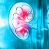 Harvard Intensive Review of Nephrology 2021 (CME VIDEOS)