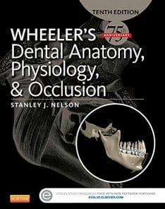 Wheeler’s Dental Anatomy, Physiology and Occlusion, 10th Edition (PDF)