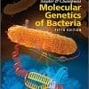 Snyder and Champness Molecular Genetics of Bacteria (ASM Books) 5th Edition