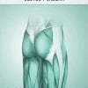 ATLAS DE BIOMECÁNICA MUSCULAR. GLÚTEO Y CADERA.: Más de 300 páginas y 800 ilustraciones detallando la mecánica de los músculos de la cadera en los … y posiciones articulares (Spanish Edition)