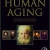 Human Aging: From Cellular Mechanisms to Therapeutic Strategies 1st Edition