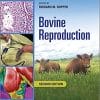 Bovine Reproduction 2nd Edition