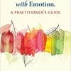Changing Emotion With Emotion: A Practitioner’s Guide 1st Edition