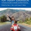 Play Therapy Supervision (EPUB)