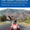 Play Therapy Supervision (PDF)