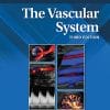 The Vascular System (Diagnostic Medical Sonography Series), 3rd edition (ePub3+Converted PDF)