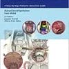 Endoscopic Approaches to the Paranasal Sinuses and Skull Base: A Step-by-Step Anatomic Dissection Guide (EPUB)