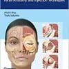 Dermal Fillers: Facial Anatomy and Injection Techniques (EPUB)