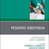 Anesthesiology Clinics – Volume 38, Issue 3 2020 PDF