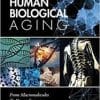 Human Biological Aging: From Macromolecules To Organ Systems 1st Edition