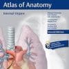 Internal Organs (THIEME Atlas of Anatomy) 2nd edition Edition