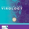 Journal of Clinical Virology – Volume 145 2021 PDF