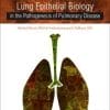 Lung Epithelial Biology in the Pathogenesis of Pulmonary Disease 1st Edition