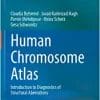Human Chromosome Atlas: Introduction to Diagnostics of Structural Aberrations, 2nd Edition (EPUB)
