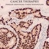 Understanding Cancer Therapies (PDF)