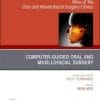 Atlas of the Oral and Maxillofacial Surgery Clinics: Volume 28 (Issue 1 to Issue 2) 2020 PDF
