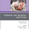 Perinatal and Neonatal Infections, An Issue of Clinics in Perinatology (Volume 48-2) (The Clinics: Orthopedics, Volume 48-2) (PDF)