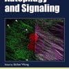 Autophagy and Signaling (Methods in Signal Transduction Series) (PDF)