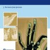 An Evidence-Based Approach To The Fingertip Diseases (PDF)