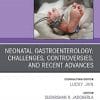 Neonatal Gastroenterology: Challenges, Controversies And Recent Advances, An Issue of Clinics in Perinatology (Volume 47-2) (The Clinics: Orthopedics, Volume 47-2) (PDF)