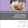 Necrotizing Enterocolitis, An Issue of Clinics in Perinatology (Volume 46-1) (The Clinics: Orthopedics, Volume 46-1) (PDF)
