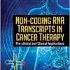 Non-coding Rna Transcripts in Cancer Therapy: Pre-clinical and Clinical Implications (PDF)