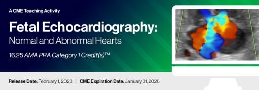 2023 Fetal Echocardiography: Normal and Abnormal Hearts (Course)