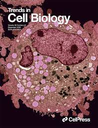Trends in Cell Biology: Volume 32 (Issue 1 to Issue 12) 2022 PDF